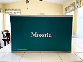 Mosaic box